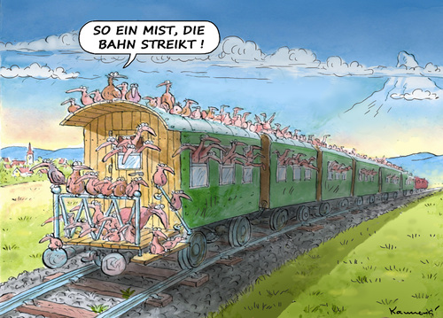 Cartoon: ZUGVÖGEL UND DER BAHNSTREIK (medium) by marian kamensky tagged lokführerstreik,dbb,streik,lokführerstreik,dbb,streik