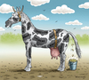 Cartoon: Kuhpferd (small) by marian kamensky tagged pferdefleisch,skandal,england,prinz,charles,und,camilla,rumänienfleisch