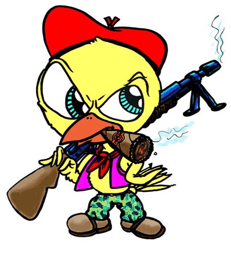 Cartoon: Bad chick (medium) by kidcardona tagged chicken,chick,gun,cigar,bad,attuide,cartoon