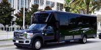 limopartybus's avatar