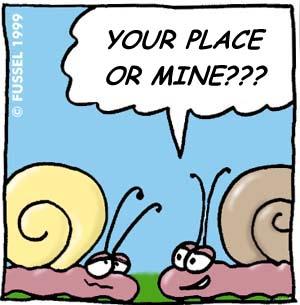 Cartoon: Snail talk (medium) by fussel tagged snail,love