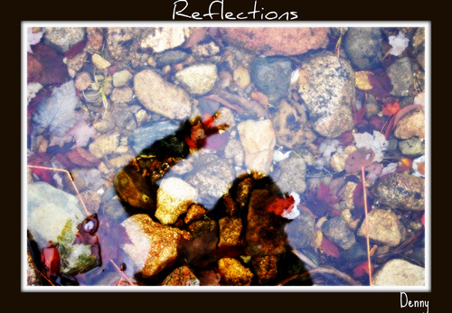 Cartoon: Reflections of Peace (medium) by Krinisty tagged peace,lake,capebreton,canada,scenery,happy,nature,walk,water,rocks,reflection,krinisty,art