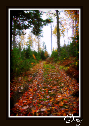 Cartoon: The Lake road 3 (medium) by Krinisty tagged fall,leaves,lake,road,cape,breton,krinisty,art,photography