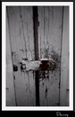 Cartoon: Barn Door (small) by Krinisty tagged barn,door,yard,lock,key,wood,art,photography,krinisty,white,paint,chipped,weather,happy