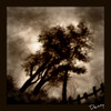 Cartoon: My second photoshop experience (small) by Krinisty tagged trees,sky,art,krinisty,photoshop