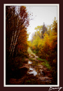 Cartoon: The Lake road 4 (small) by Krinisty tagged lake,trees,dirt,road,fall,scenery,krinisty,art,photography