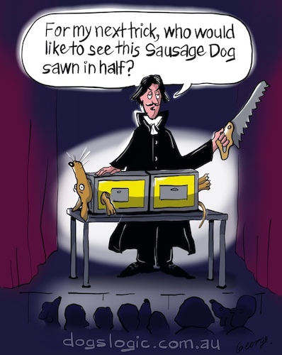 Cartoon: Dog trick (medium) by George tagged dogs
