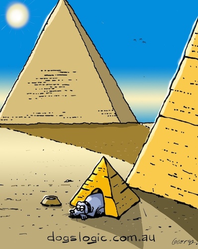 Cartoon: DogHouse (medium) by George tagged dogs