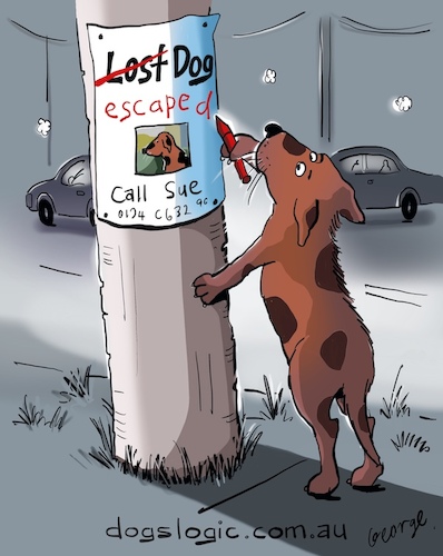 Cartoon: Freedom (medium) by George tagged dogs