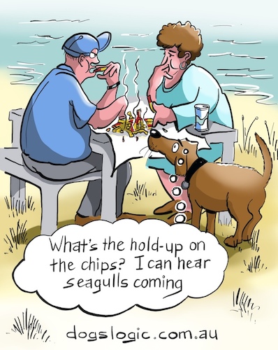 Cartoon: seagulls (medium) by George tagged dogs