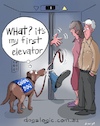 Cartoon: Guide Dogs (small) by George tagged dogs