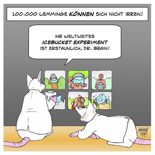 Cartoon: das Icebucket Experiment (medium) by Timo Essner tagged icebucketchallenge,medizin,experimente,forschung,pharma,massenphänomene,icebucketchallenge,medizin,experimente,forschung,pharma,massenphänomene