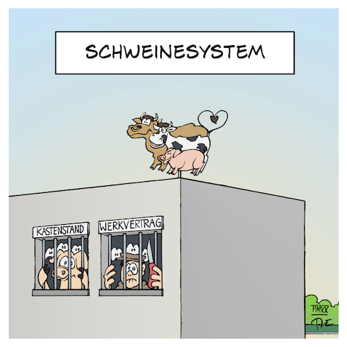 Cartoon: Schweinesystem (medium) by Timo Essner tagged clemens,tönnies,schlachterei,fleischindustrie,schlachtbetrieb,rumänen,bulgaren,corona,covid19,reproduktionszahl,quarantäne,böklunder,redlefsen,tillmanns,könecke,plumrose,gutfried,werkvertrag,werkverträge,moderne,sklaverei,kastenstand,kastenstände,cartoon,timo,essner,clemens,tönnies,schlachterei,fleischindustrie,schlachtbetrieb,rumänen,bulgaren,corona,covid19,reproduktionszahl,quarantäne,böklunder,redlefsen,tillmanns,könecke,plumrose,gutfried,werkvertrag,werkverträge,moderne,sklaverei,kastenstand,kastenstände,cartoon,timo,essner