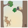 Cartoon: Barking up the wrong tree (small) by Timo Essner tagged cats dogs trees barking up the wrong tree katzen hunde bäume den falschen baum anbellen sprichwörter tiere sayings animals cartoon timo essner