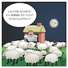 Lauter Schafe