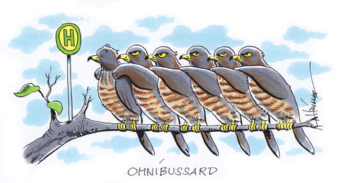 Cartoon: Omnibussard (medium) by Hoevelercomics tagged öpnv,bus,bahn,nahverkehr,vogel,vögel,raubvogel,bussard