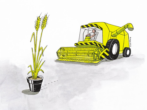 Cartoon: 64-hn (medium) by Lubomir Kotrha tagged harvest,summer,yield,harvester