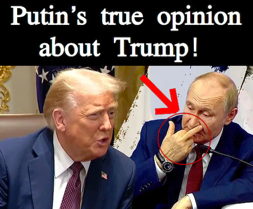 Cartoon: Putins true opinion about Trump (medium) by Schimmelpelz-pilz tagged meme,donald,trump,vladimir,wladimir,putin,dictator,war,crime,criminal,criminals,dictators,insult,insulting,idiot,america,russia,ukraine,right,winged,fascist,fascists,dumb,bad,finger,middle,stinkefinger,politicians,politician,mittelfinger