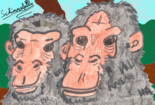 Schimpansenpaar - Chimp Pair (medium) Cartoon: Schimpansenpaar - Chimp Pair (medium) by Schimmelpelz-pilz tagged affe,affen,schimpanse,schimpansen,menschenaffe,menschenaffen,paar,pärchen,pair,ape,apes,monkey,chimp,chimps
