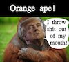 Cartoon: Orange ape! (small) by Schimmelpelz-pilz tagged meme,donald,trump,ape,monkey,orang,utan,orange,shit,crap,talking,insulting,bad,mouth,president,tyrant,dictator,conservative,right,winged,nazi,usa,united,states,of,america