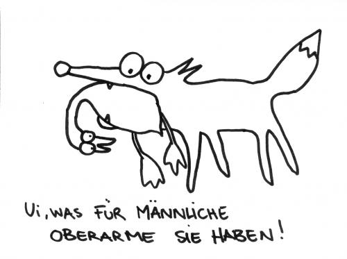 Cartoon: Fuchs du hast die Gans. (medium) by puvo tagged gans,fuchs,gestohlen,oberarme,männlich
