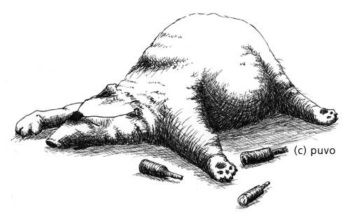 Cartoon: Grabstein für Hermann (medium) by puvo tagged dh,grabstein,hermann,bär,bear,betrunken,drunk,gravestone