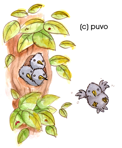 Cartoon: Stare. (medium) by puvo tagged star,starling,bird,vogel,baum,tree,nest