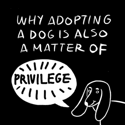 Cartoon: Adopt a dog is a privilege (medium) by javierhammad tagged dog,adoption,poor,house,tennant,park,dog,adoption,poor,house,tennant,park