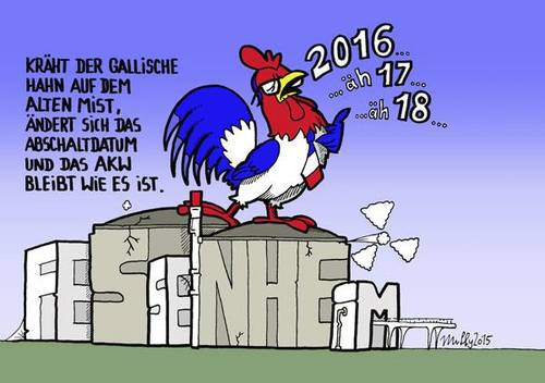 Cartoon: Coq de Rhin (medium) by muffy tagged abschaltung,atomkraftwerk,fessenheim,francois,hollande,coq,gaulois