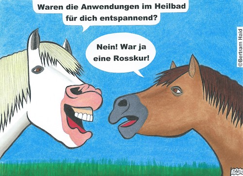 Cartoon: Nach dem Heilbad (medium) by BAES tagged pferde,tiere,entspannung,heilbad,bad,kur,gesundheit,humor,cartoon,pferde,tiere,entspannung,heilbad,bad,kur,gesundheit,humor,cartoon