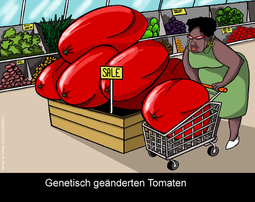 Cartoon: Genmanipulation von Nahrungsmitt (medium) by perugino tagged genetics,food,vegetables,einkaufen,laden,shop,supermarkt,genetik,obst,gemüse,anbau,landwirtschaft,biologie,genfood,gesundheit,konsum,tomaten