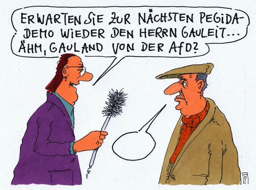 gauland pegida