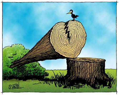 Cartoon: Stumped (medium) by JohnBellArt tagged tree,stump,conservation,bird,sad,death,heart,broken