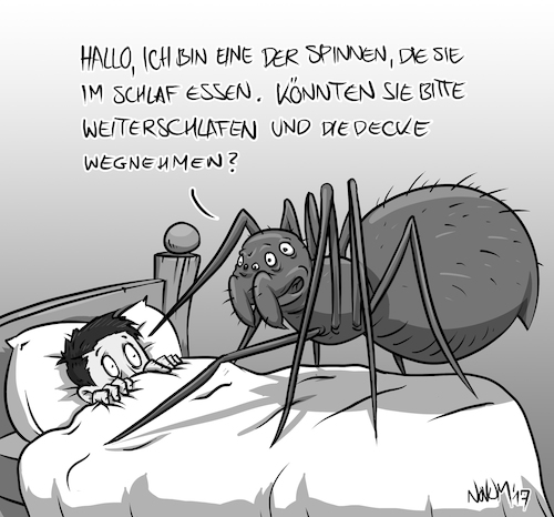 Cartoon: Spinne im Schlaf essen (medium) by INovumI tagged spinne,spinnen,essen,schlaf,schlafen,bett,arachnophobie,spider