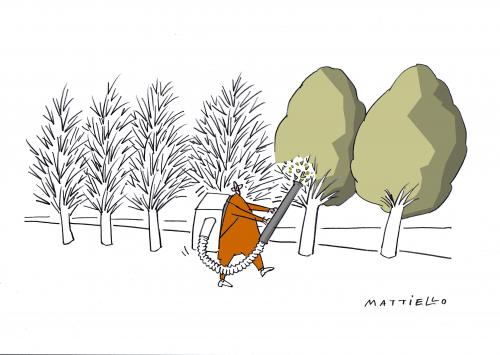 Cartoon: Herbst (medium) by Mattiello tagged jahreszeiten,blätter,laubfall,herbst,jahreszeiten,wetter,klima,wechsel,herbst,sommer,blätter,laubfall,laub,bäume,baum,natur