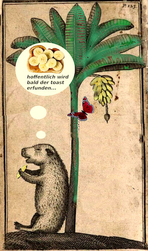 Cartoon: geschmack (medium) by ab tagged frucht,banane,tier,wasserschwein,essen