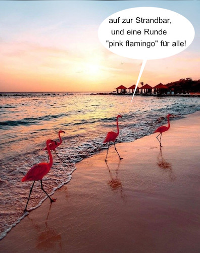 Cartoon: tierischer sommerabend (medium) by ab tagged strand,meer,sonnenuntergang,vögel