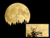 Cartoon: alles relativ (small) by ab tagged oktober,vollmond,gross,riesig,erde,insekten,himmel,nacht