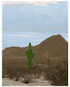 Cartoon: die wüste lebt (small) by ab tagged wüste,steppe,kakteen,natur,zeichen