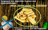 Cartoon: geldanlage (small) by ab tagged internet,währung,geld,gold,digital,zahlungsmittel,darknet