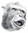 Cartoon: Schimpanse (small) by nick lopez tagged affe,tier
