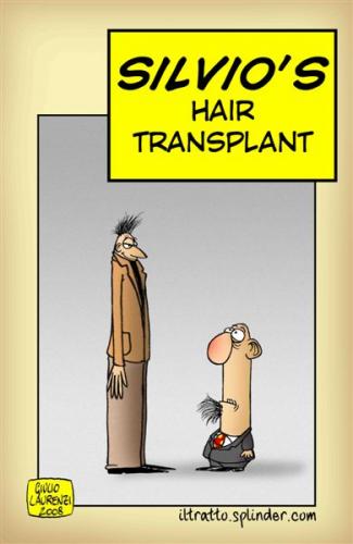 Cartoon: Hair transplant (medium) by Giulio Laurenzi tagged politics