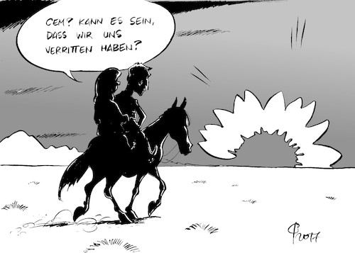 Sonnenblumenuntergang Sonnenblumenuntergang