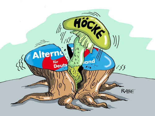 Cartoon: Gespaltenes (medium) by RABE tagged afd,alternative,für,deutschland,cdu,bundesparteitag,merkel,thüringen,mohring,rabe,ralf,böhme,cartoon,karikatur,pressezeichnung,farbcartoon,tagescartoon,abgrenzung,rechts,rechtslastig,spaltung,ausschlußverfahren,landesvorsitzender,höcke,npd,bundesvorstand,afd,alternative,für,deutschland,cdu,bundesparteitag,merkel,thüringen,mohring,rabe,ralf,böhme,cartoon,karikatur,pressezeichnung,farbcartoon,tagescartoon,abgrenzung,rechts,rechtslastig,spaltung,ausschlußverfahren,landesvorsitzender,höcke,npd,bundesvorstand