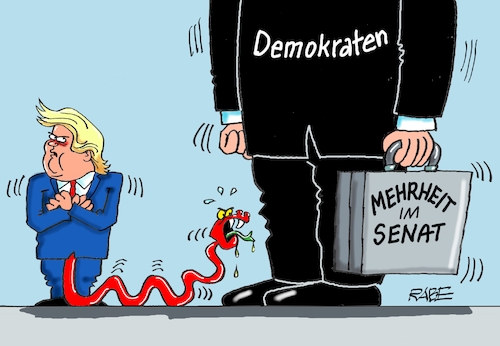 Cartoon: Gezischel (medium) by RABE tagged joe,biden,senat,donald,trump,demokraten,esel,republikaner,elefant,rabe,ralf,böhme,cartoon,karikatur,pressezeichnung,farbcartoon,tagescartoon,schlips,krawatte,schlange,koffer,mehrheit,senatswahlen,wähler,giftschlange,usa,washington,joe,biden,senat,donald,trump,demokraten,esel,republikaner,elefant,rabe,ralf,böhme,cartoon,karikatur,pressezeichnung,farbcartoon,tagescartoon,schlips,krawatte,schlange,koffer,mehrheit,senatswahlen,wähler,giftschlange,usa,washington