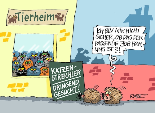 Katzenstreichler