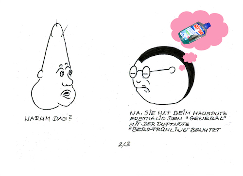 Cartoon: General - Der Haushaltsreiniger (medium) by menschenskindergarten tagged henkel,general,haushaltsreiniger