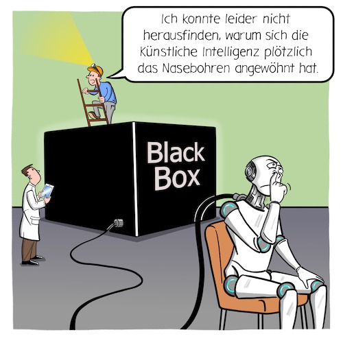 BlackBox-Problem