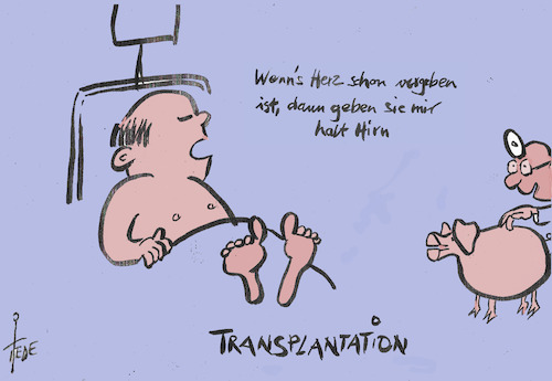 Cartoon: Hirn ist ok (medium) by tiede tagged transplantation,tier,mensch,usa,transplantation,tier,mensch,usa