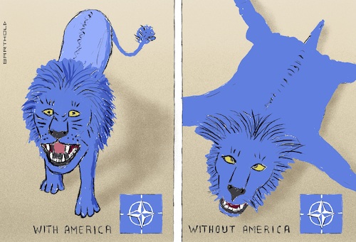 Cartoon: NATO (medium) by Barthold tagged future,vision,nato,withdrawal,usa,america,loss,important,abilities,satellitebased,missile,defense,support,target,acquisition,flight,path,control,reconnaissance,lion,alive,dead,skin,fur,rug,cartoon,caricature,barthold,future,vision,nato,withdrawal,usa,america,loss,important,abilities,satellitebased,missile,defense,support,target,acquisition,flight,path,control,reconnaissance,lion,alive,dead,skin,fur,rug,cartoon,caricature,barthold